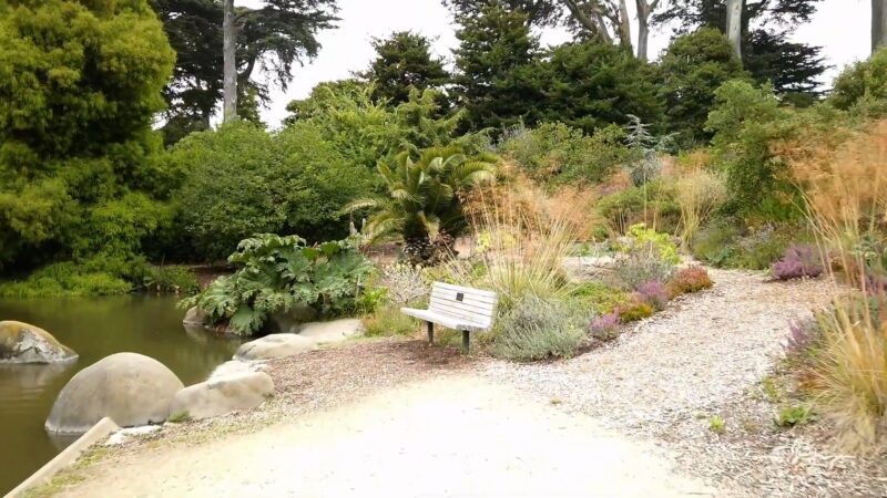 The Botanical Garden at Strybing Arboretum