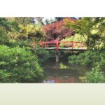 Japanese Tea Garden in Golden Gate Park