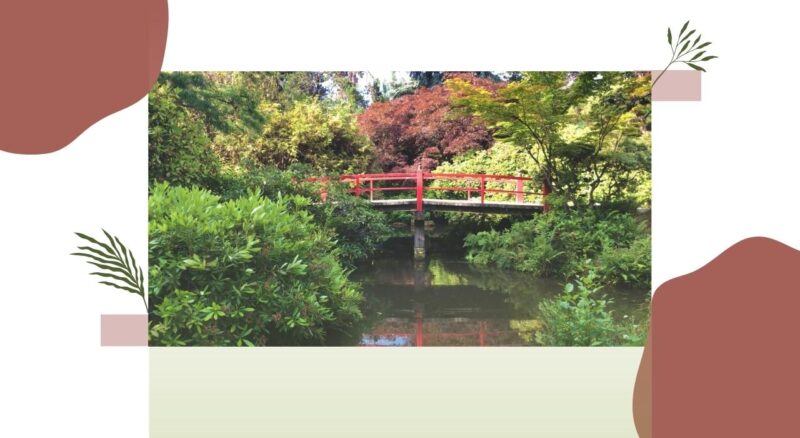 Japanese Tea Garden in Golden Gate Park