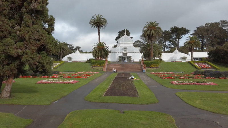 Conservatory of Flowers