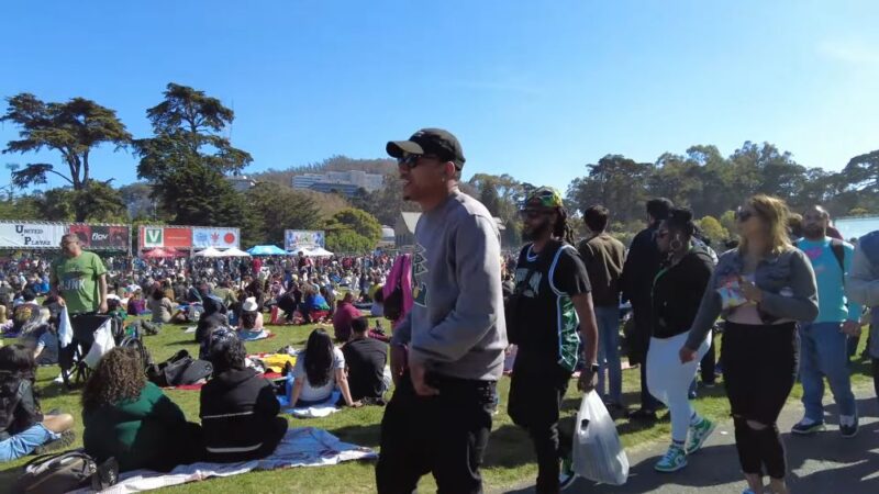 Hippie Hill Gathering