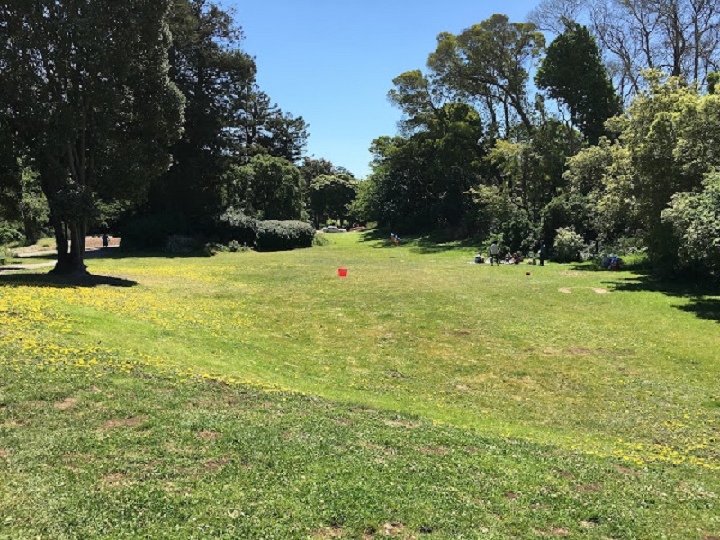 A lot of green space in Bunny Meadow Park