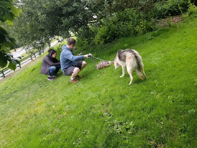 Bunny Meadow Park are Pet-Friendly
