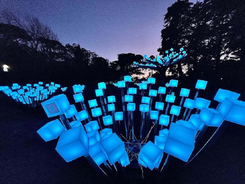 Entwined Light Art