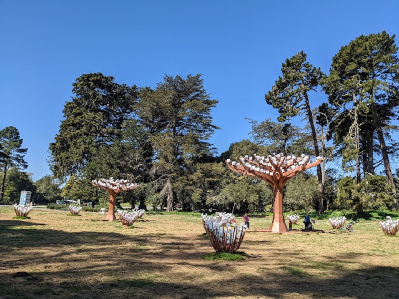 Greenery at the Peacock Meadow