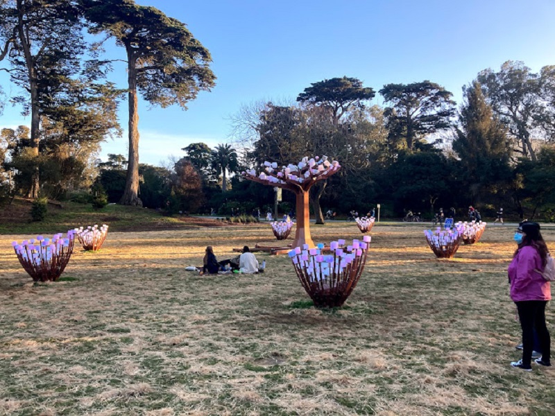 Ogranize Picnic at the Peacock Meadow Park