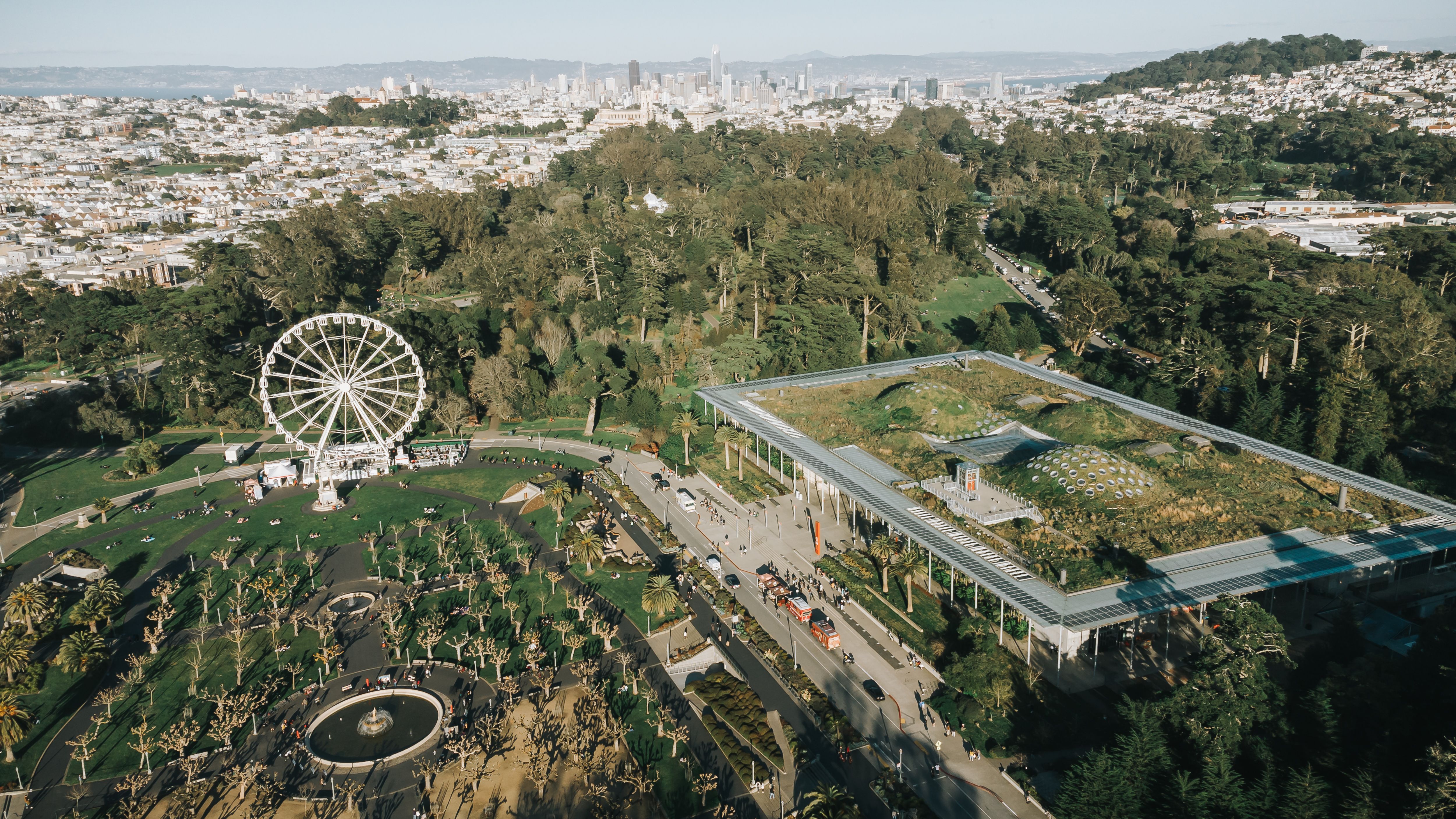 Aerial view of Golden Gate Park's greenery and pathways in San Francisco.