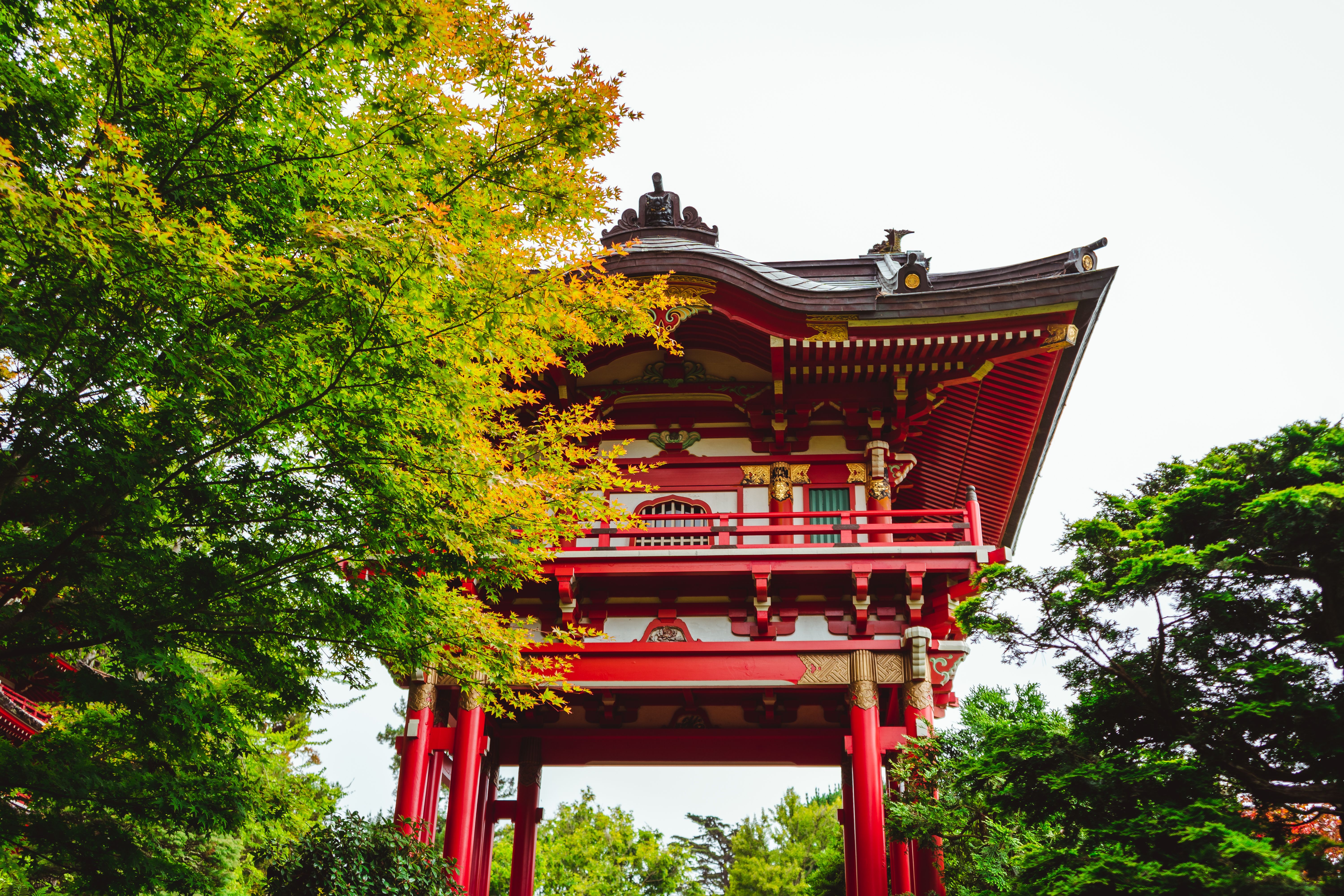 Traditional red temple surrounded by trees in San Francisco's Japanese Tea Garden.