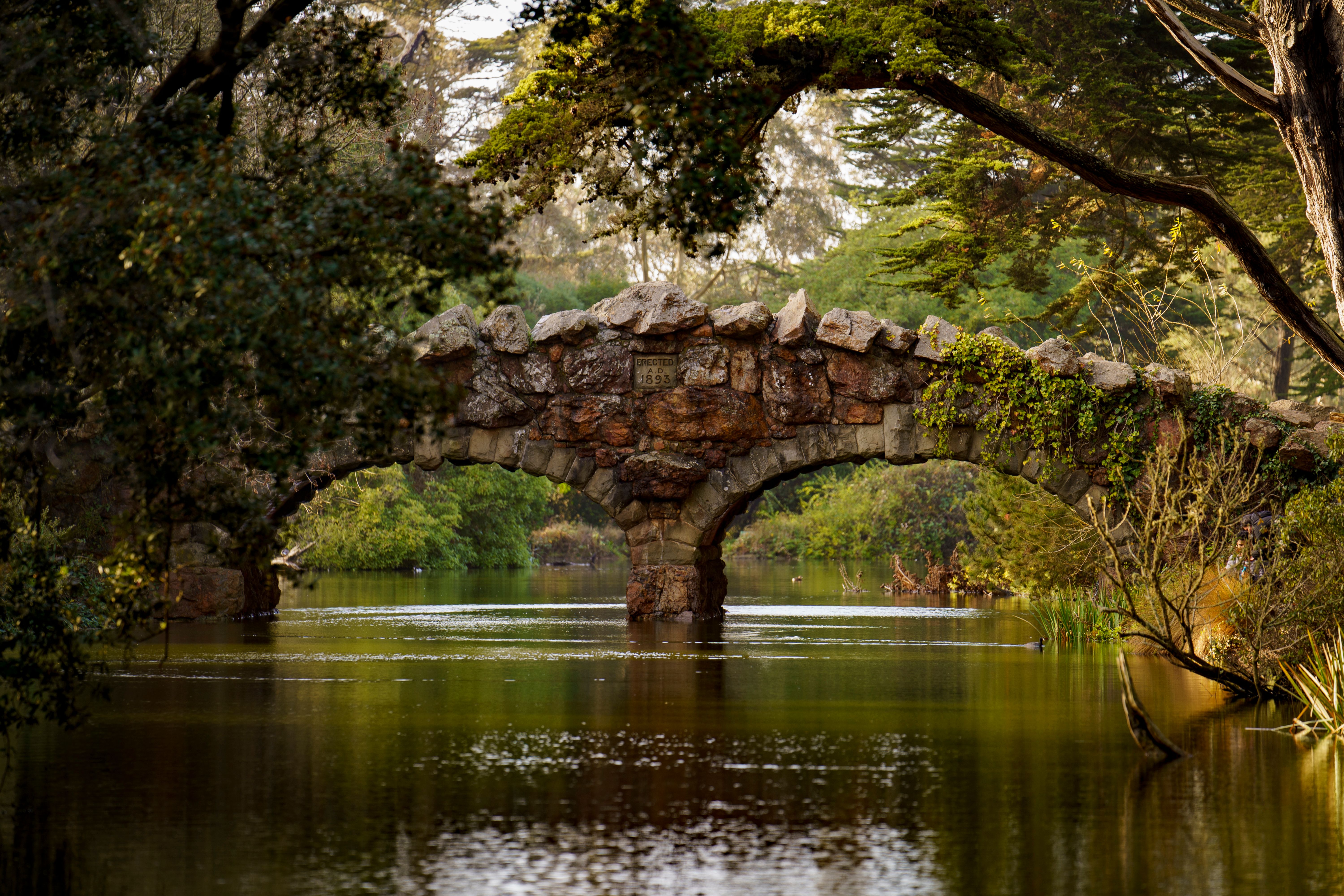 Picturesque stone bridge crossing calm water in Golden Gate Park, San Francisco.